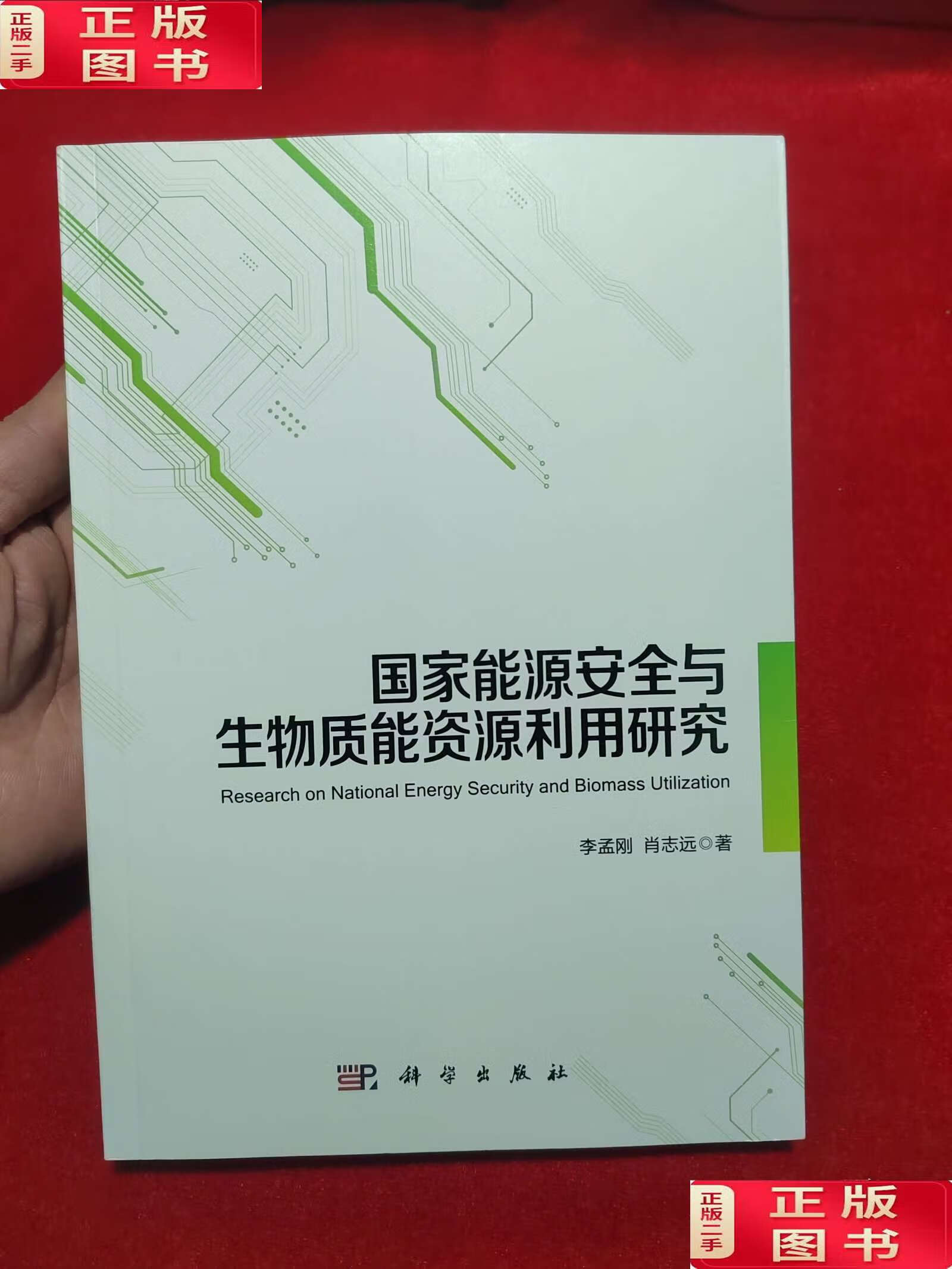 国家能源安全与生物质能资源利用研究 /李孟刚 科学