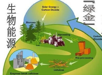 能源材料的生物质能资源_知道