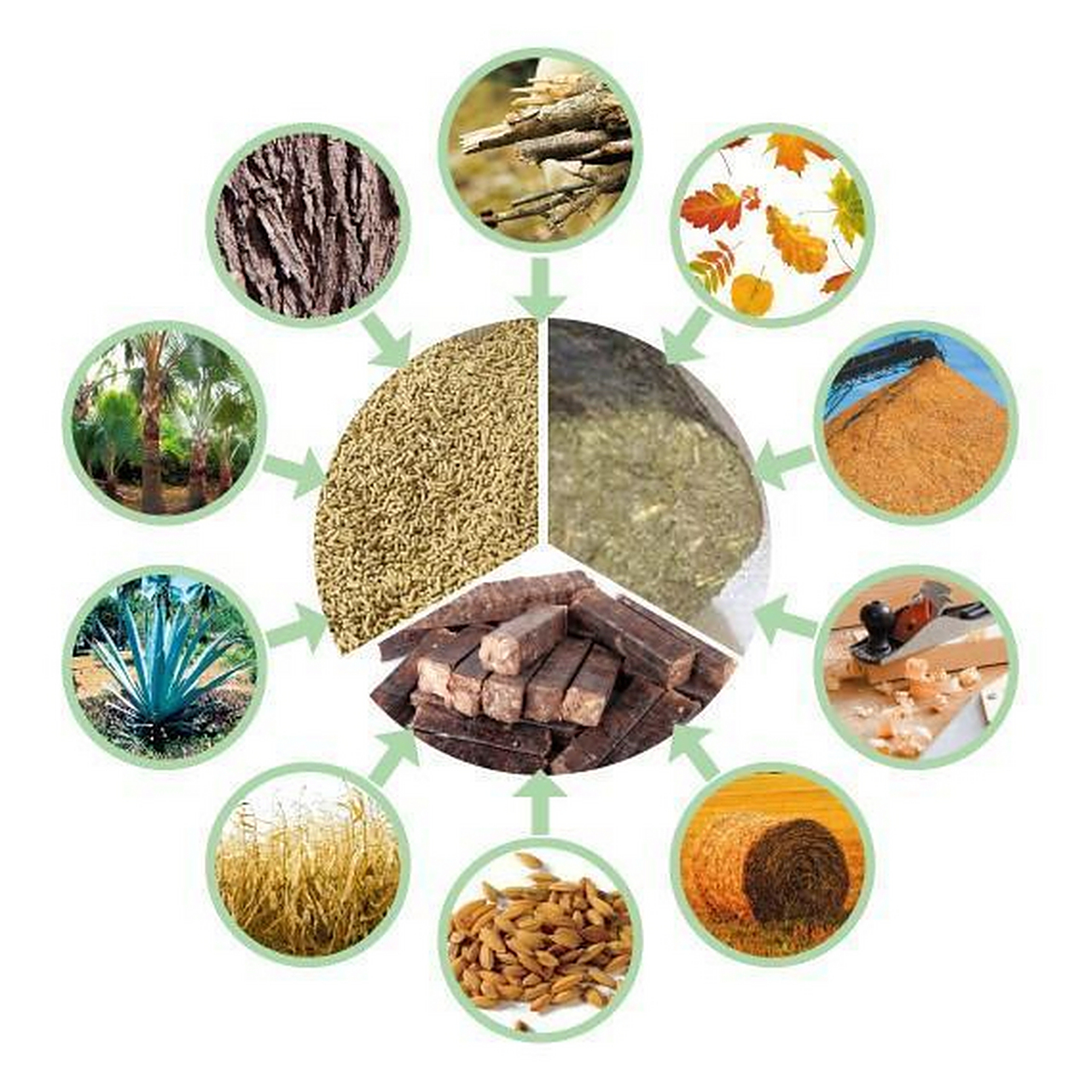 木质生物质能源利用有助于实现碳中和#能源#