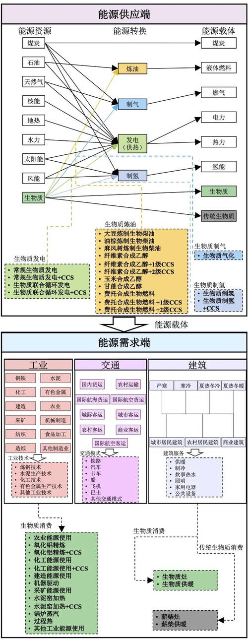 中国人民大学庞军等:碳中和导向下中国生物质能消费分析